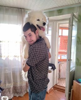 Артём